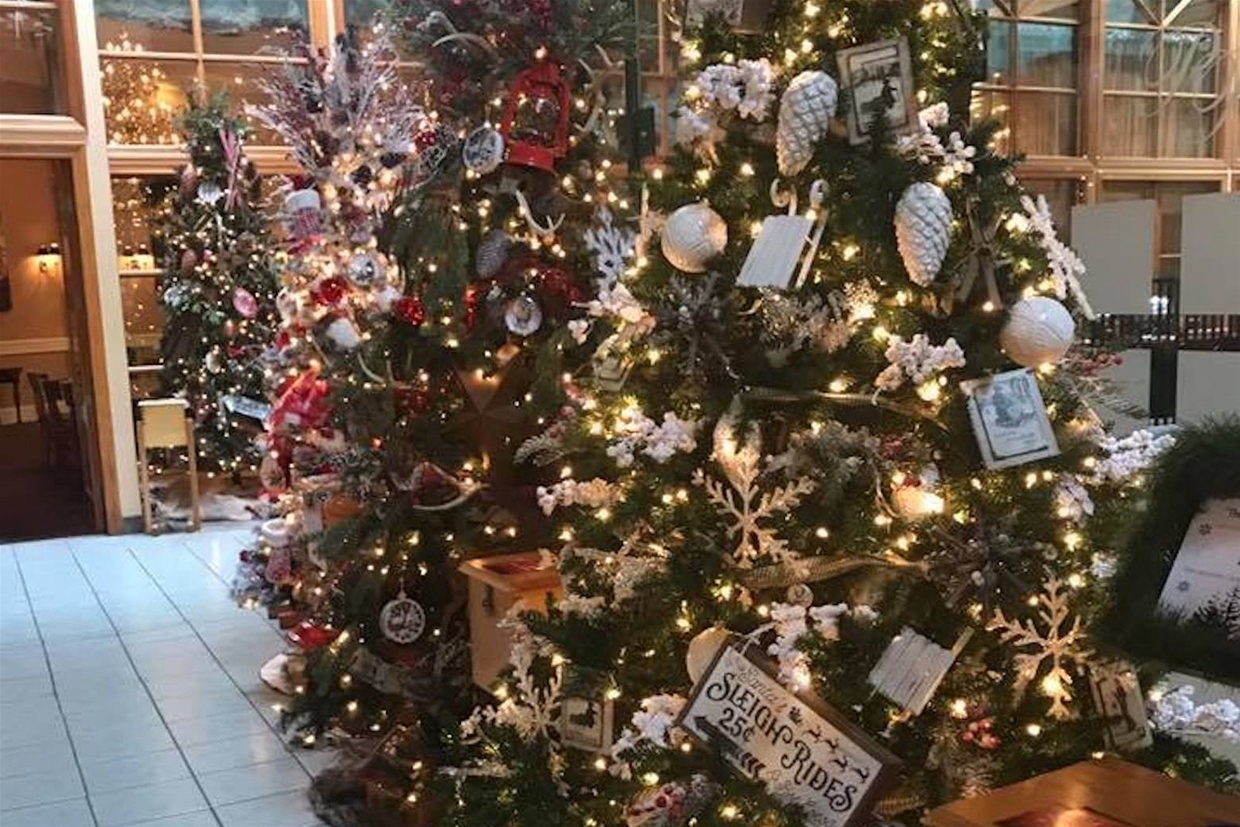 Christmas Trees Elk Grove Ca Festival of Trees Date Night and Kids Movie