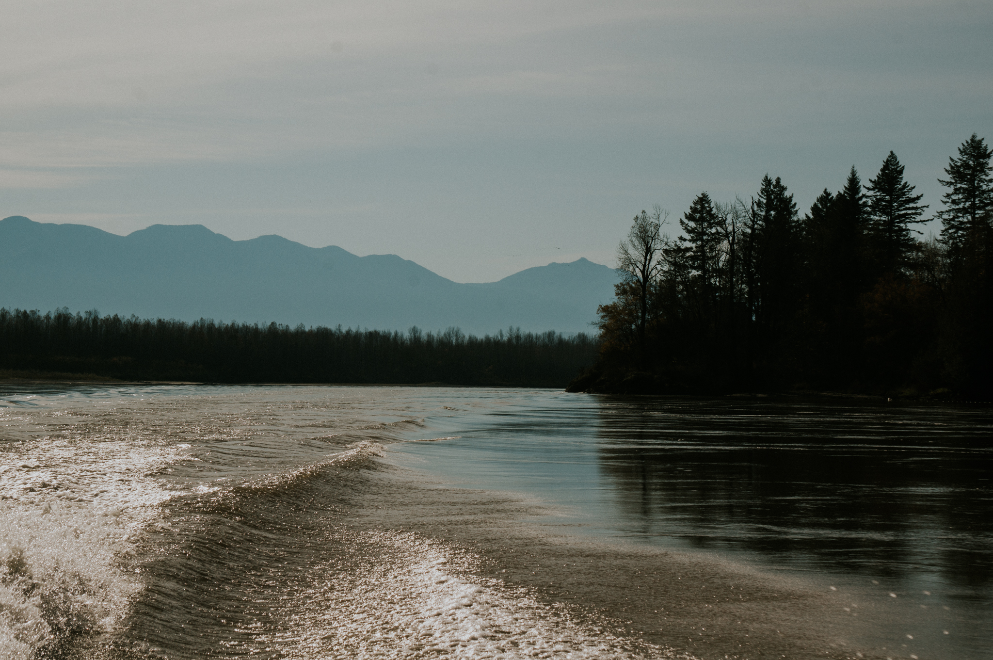 Season of the Wild in the Harrison River Valley Harrison Hot Springs