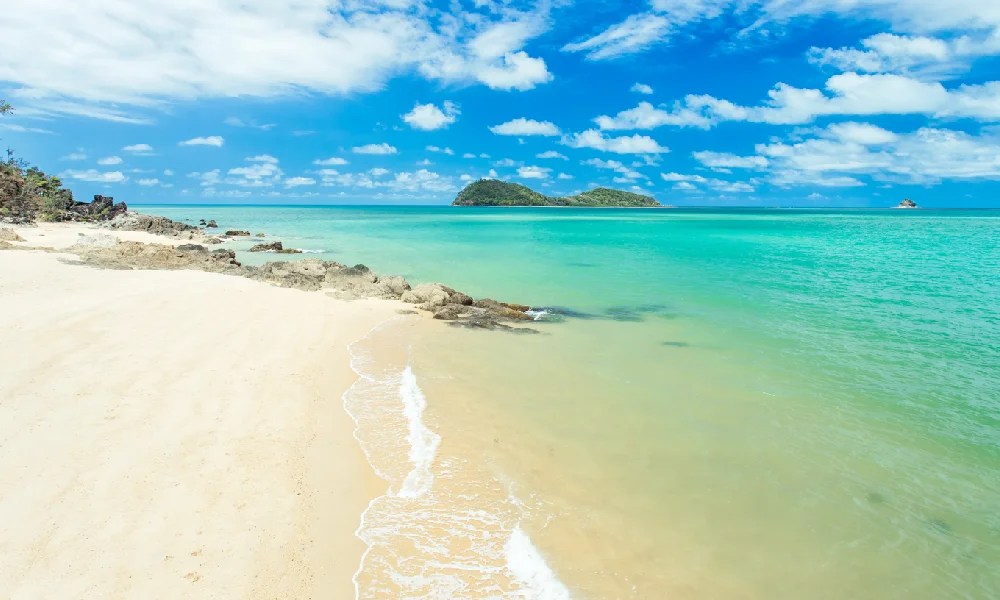 Here’s What Makes Palm Cove a Paradise Destination Tourist Authority