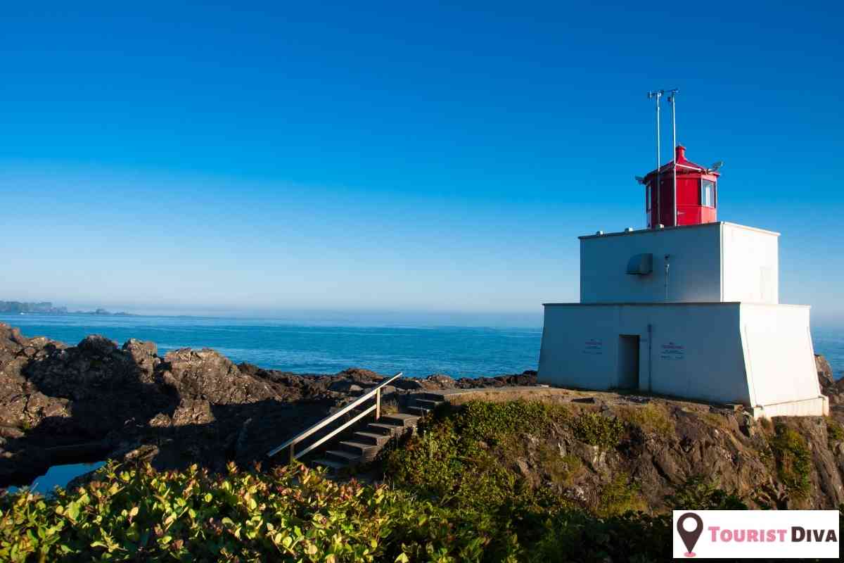 21 Fun Things to Do in Ucluelet (BC)