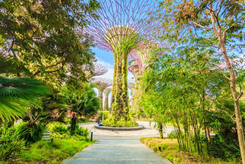 Gardens by the Bay Tickets Price All you Need to Know 2022 TourScanner