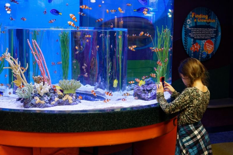 50 Best Aquariums in the World 2021 TourScanner