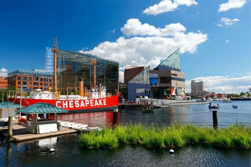 60 Fun Things to Do in Baltimore, Maryland Tendig