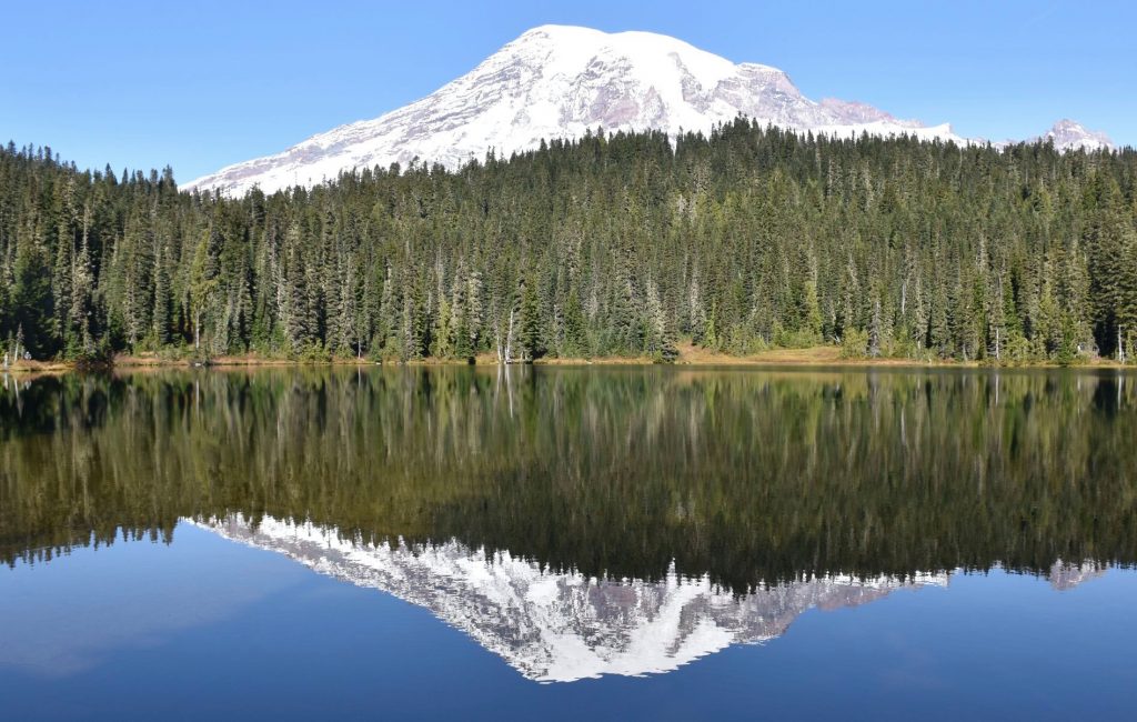 Mt. Rainier Day Tour Customized Tours Seattle's Fun Tour Guide
