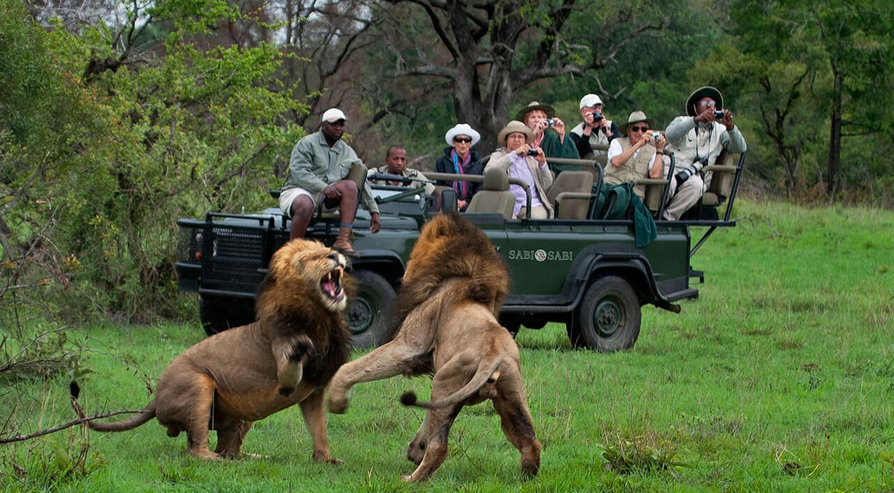 Как подготовиться к сафари в Африке