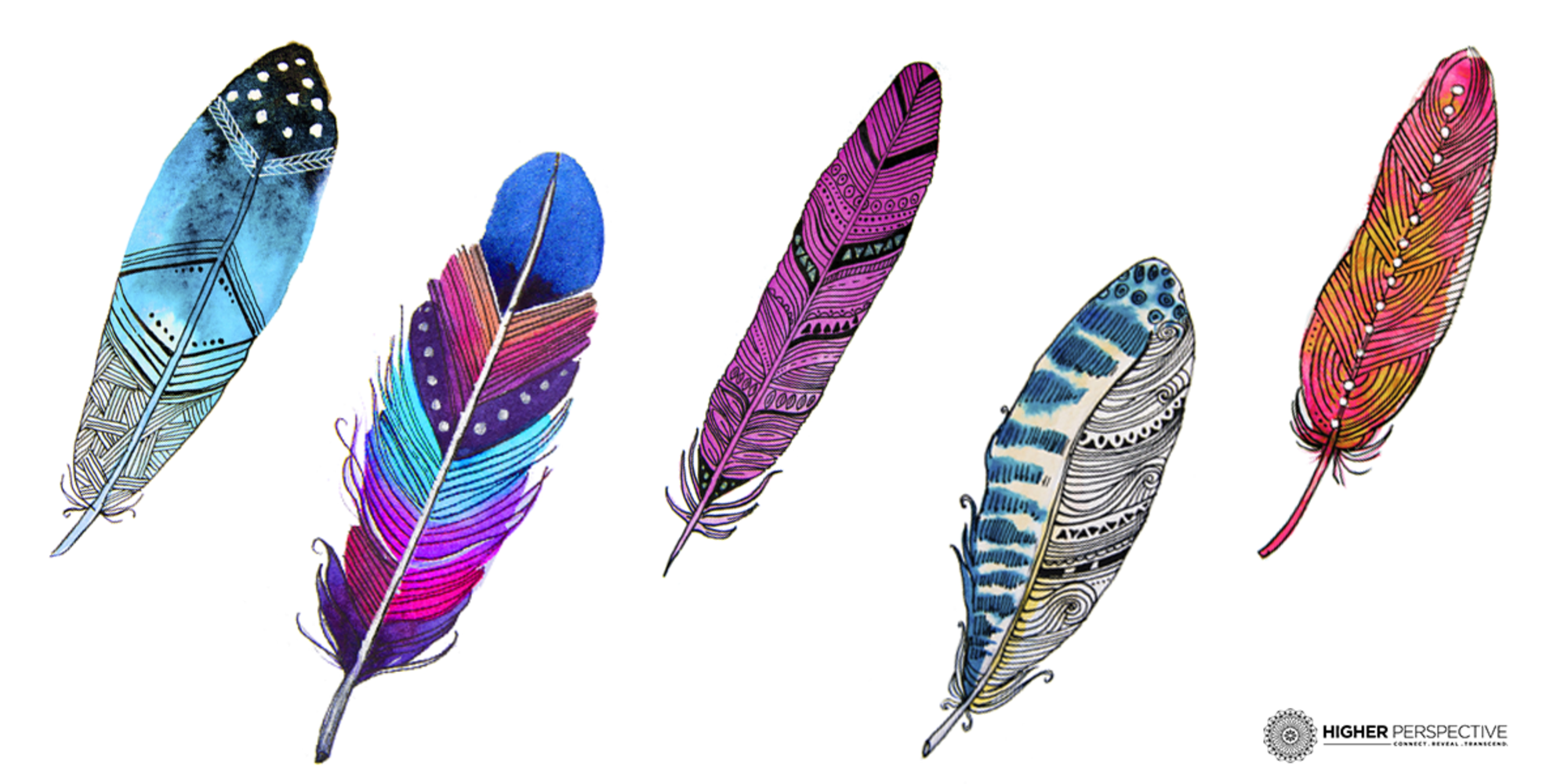 Choisissez une plume et découvrez ce que vous désirez vraiment Tous