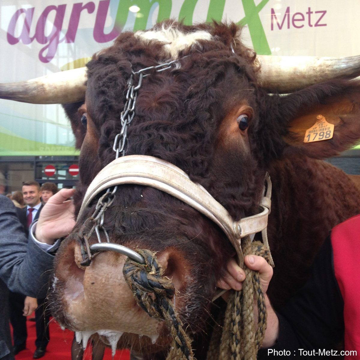 Salon Agrimax Metz 2022