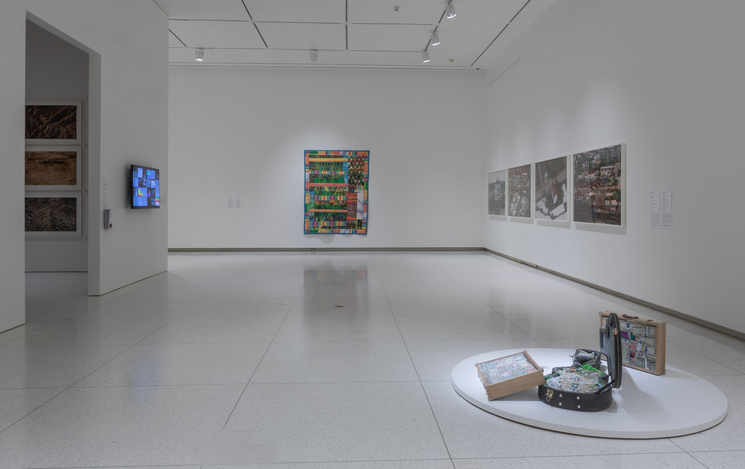 Smart Museum of Art Toward Common Cause