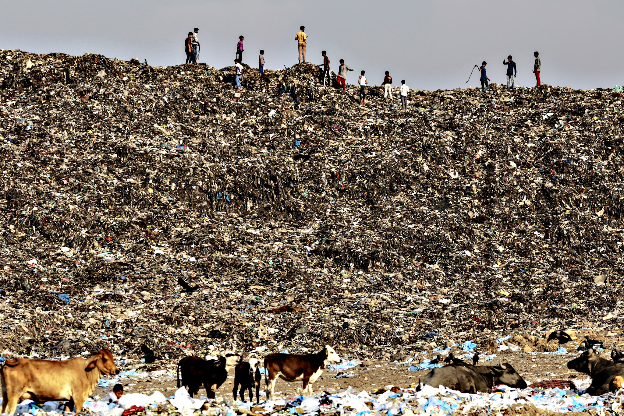 UN Releases Alarming Report on Global Soil Pollution
