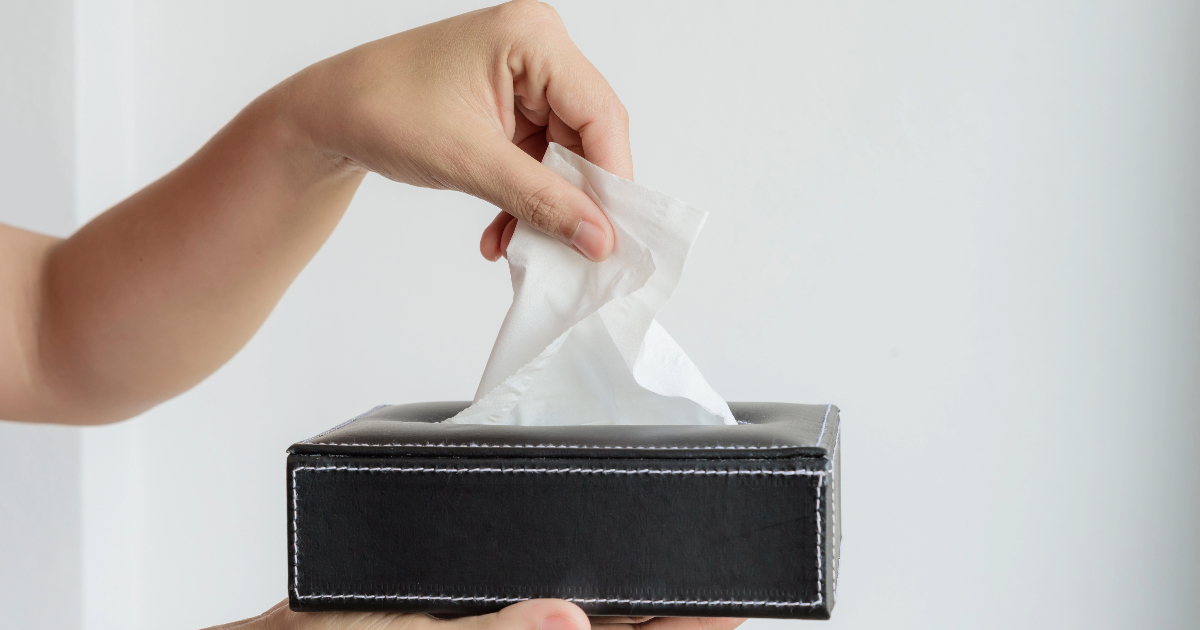 What Is Paper Towel Made Of? Towels Edition