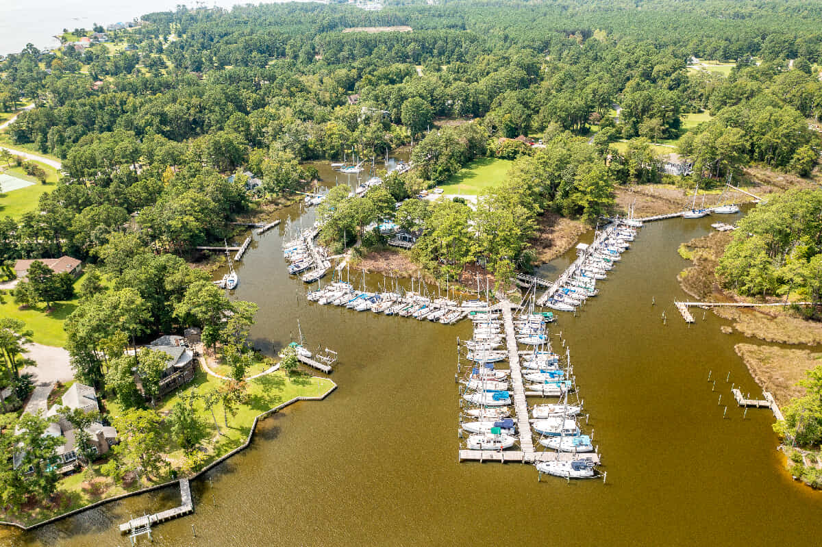 Pamlico Classified Ads on