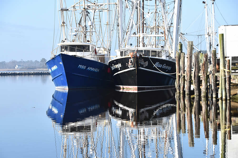 Oriental NC News, Weather, Photos