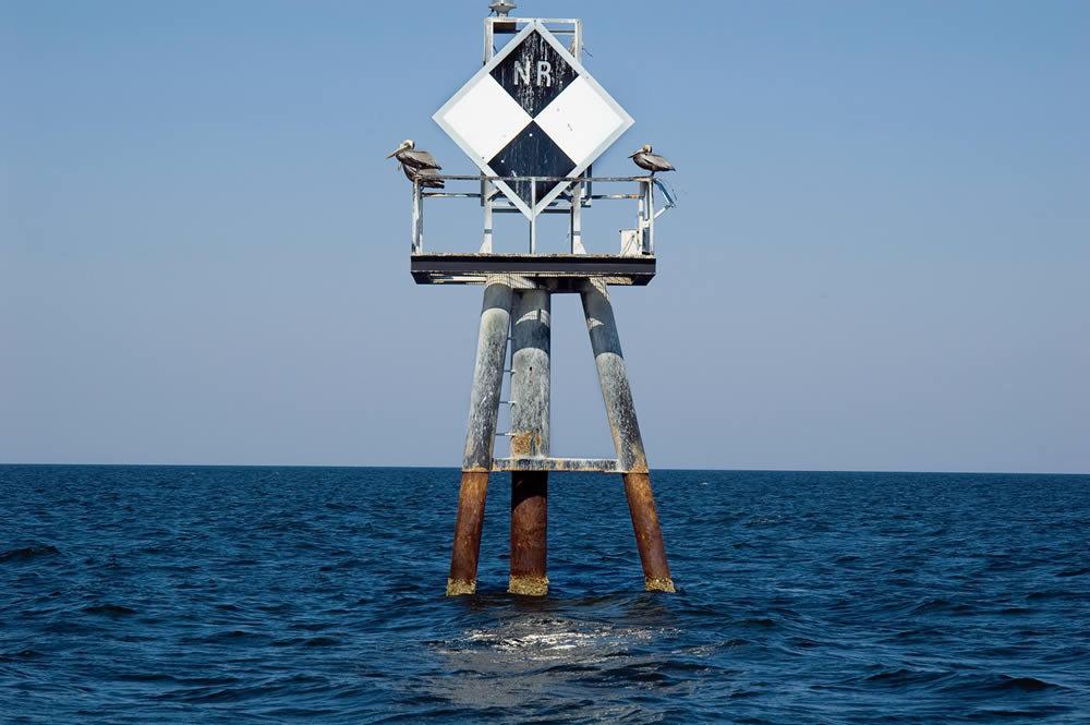 The Neuse River Of The Year