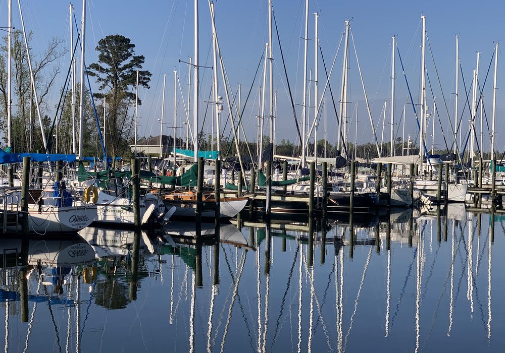 Sailboats at Pecan Grove Marina