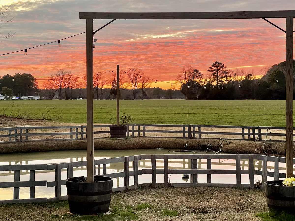 Red Rooster Sunset, January 2023