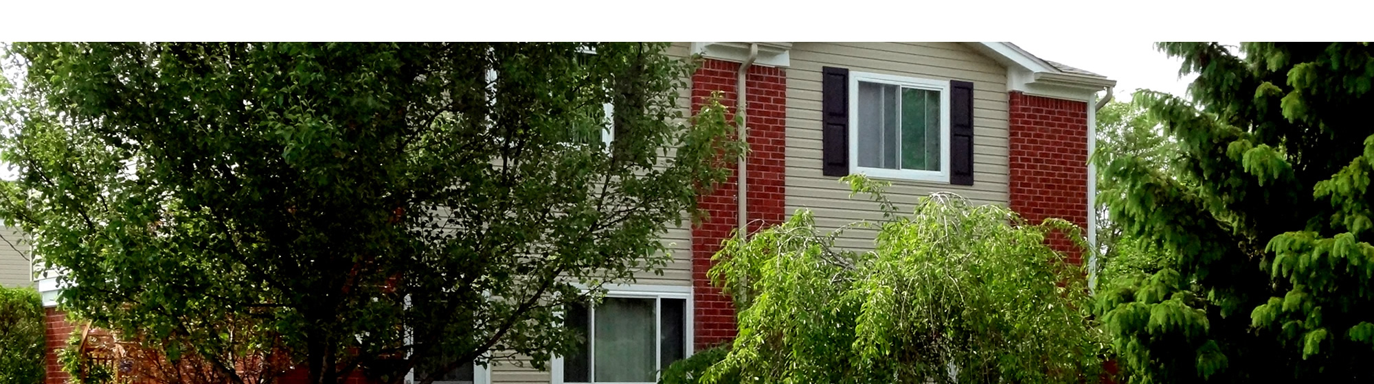 Member Pets Townhouse Plaza Cooperative