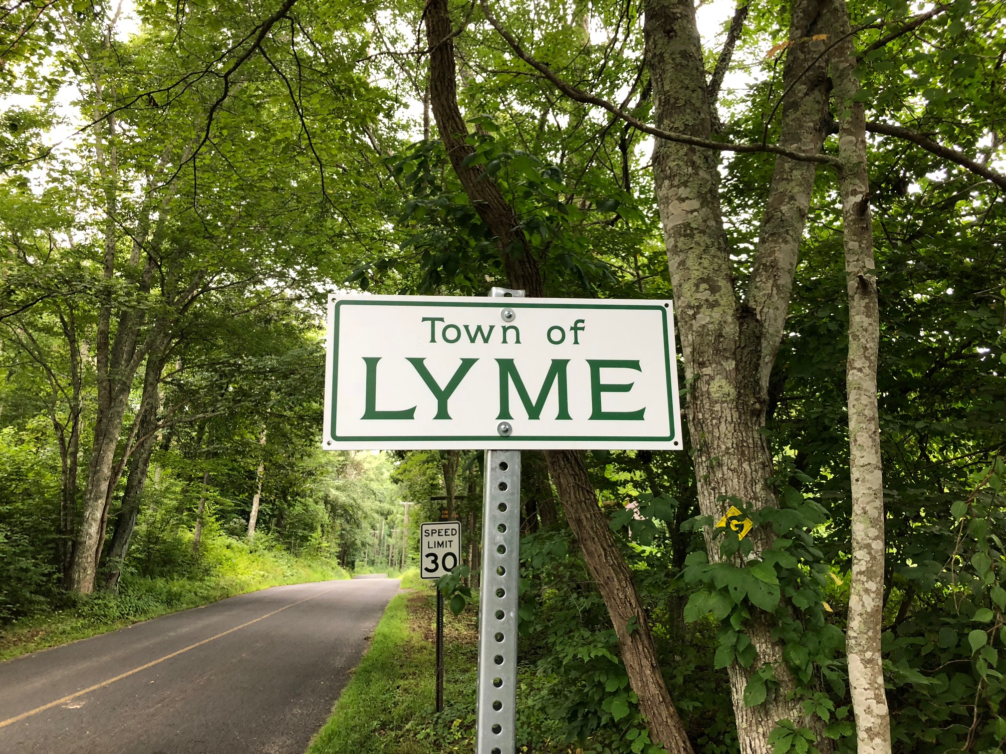 About Lyme Town of Lyme