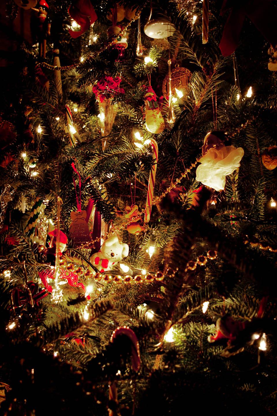 Brownsburg Christmas Tree Pickup