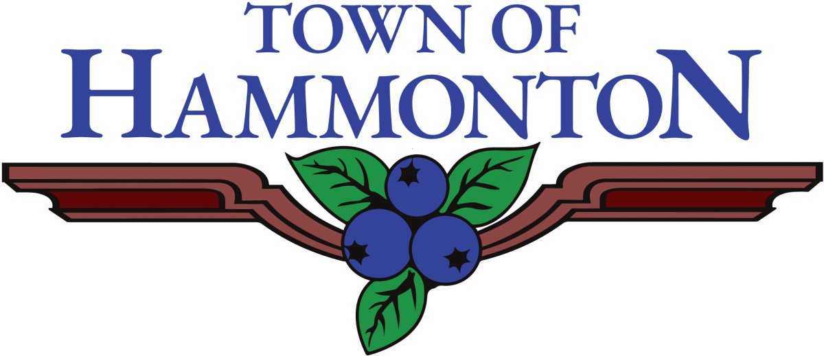 Media Town of Hammonton