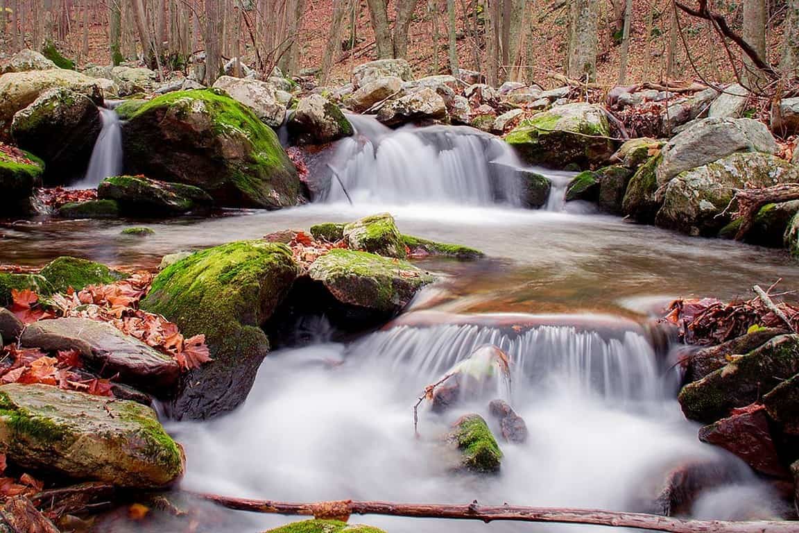 Town Of Narrows Va Phone Number at Norman Butler blog