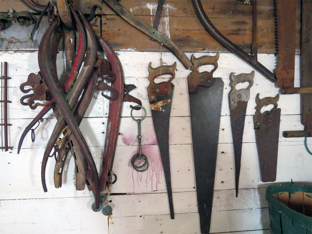 Town of Old Perlican Photo Gallery