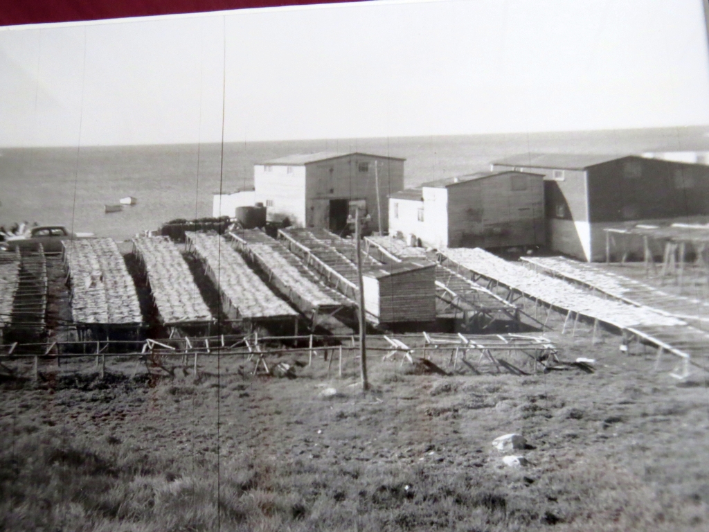 Town of Old Perlican Photo Gallery