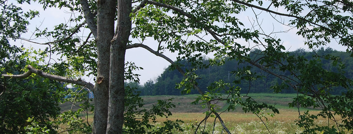 Welcome to the Town of Plainfield