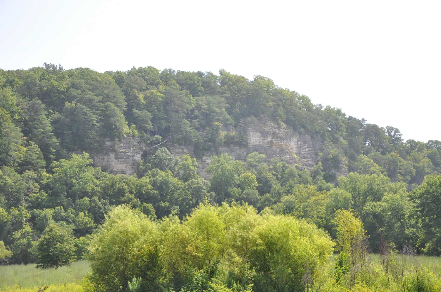 Photo Gallery Town of White Bluff