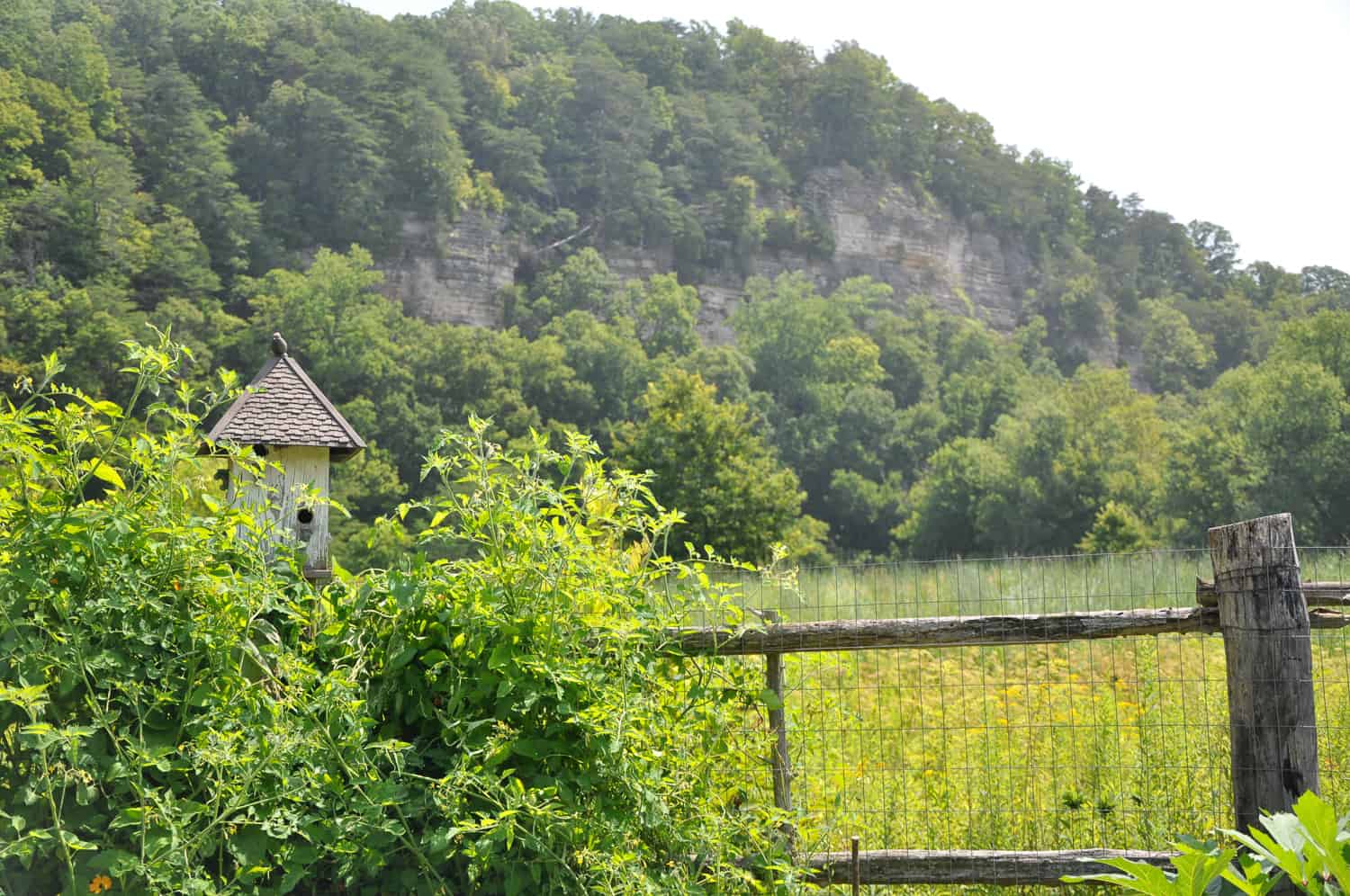 Photo Gallery Town of White Bluff