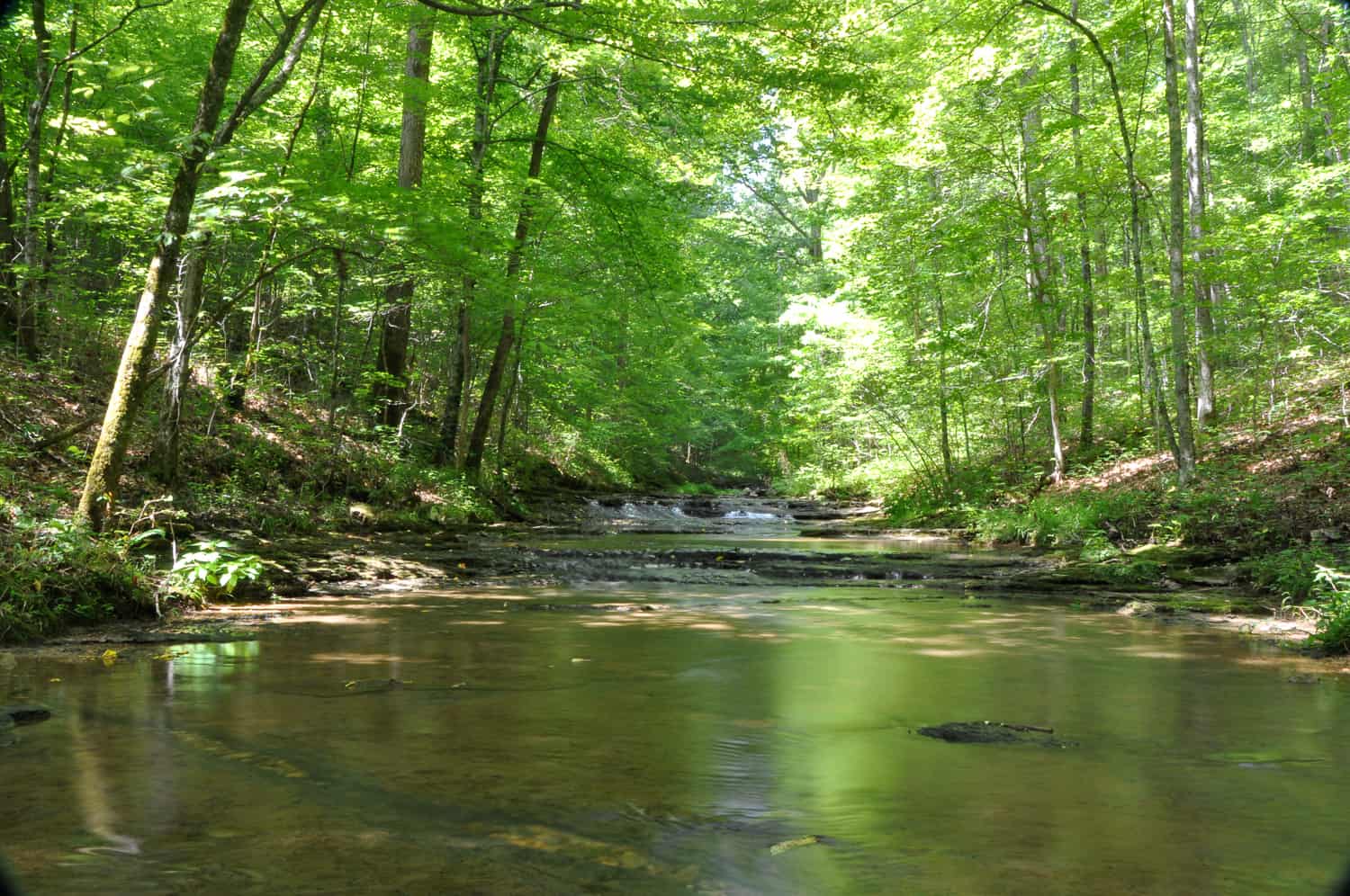 Photo Gallery Town of White Bluff