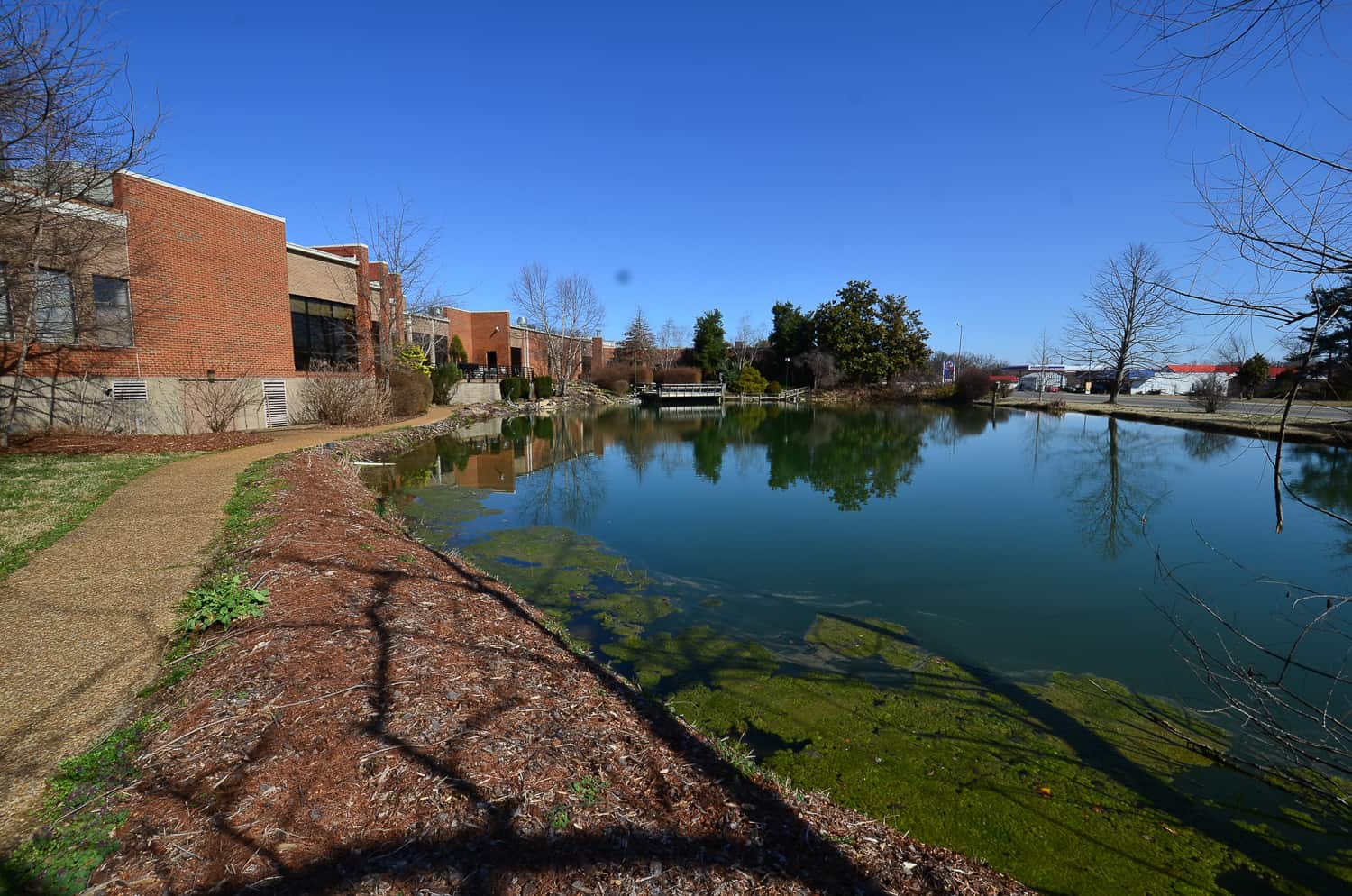 Photo Gallery Town of White Bluff