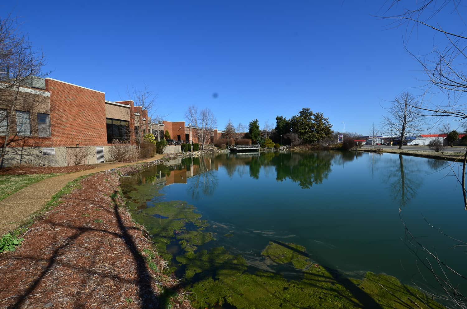 Photo Gallery Town of White Bluff