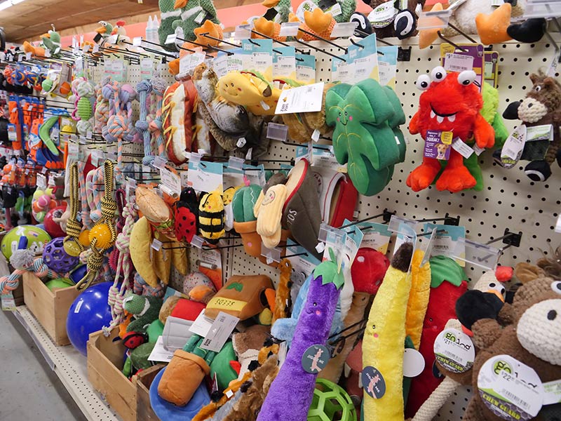 DOG FEED & SUPPLIES Townsend Farmers Exchange