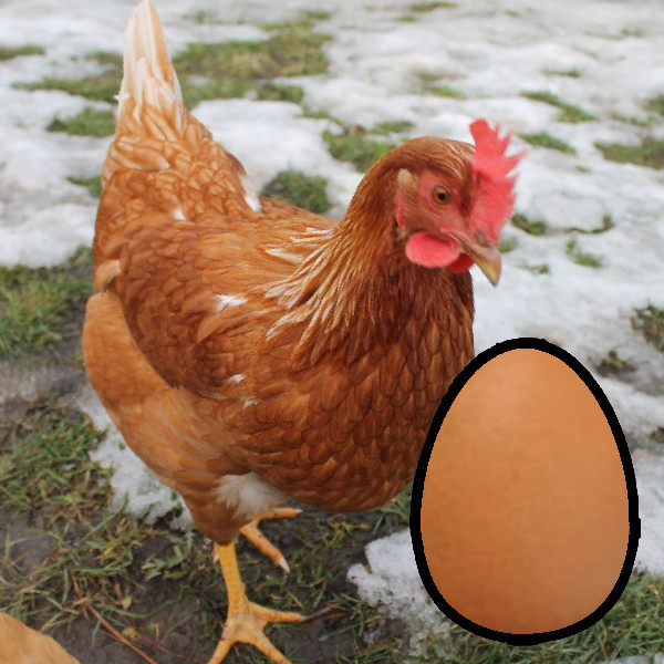 Chick List 2024 Townsend Farmers Exchange