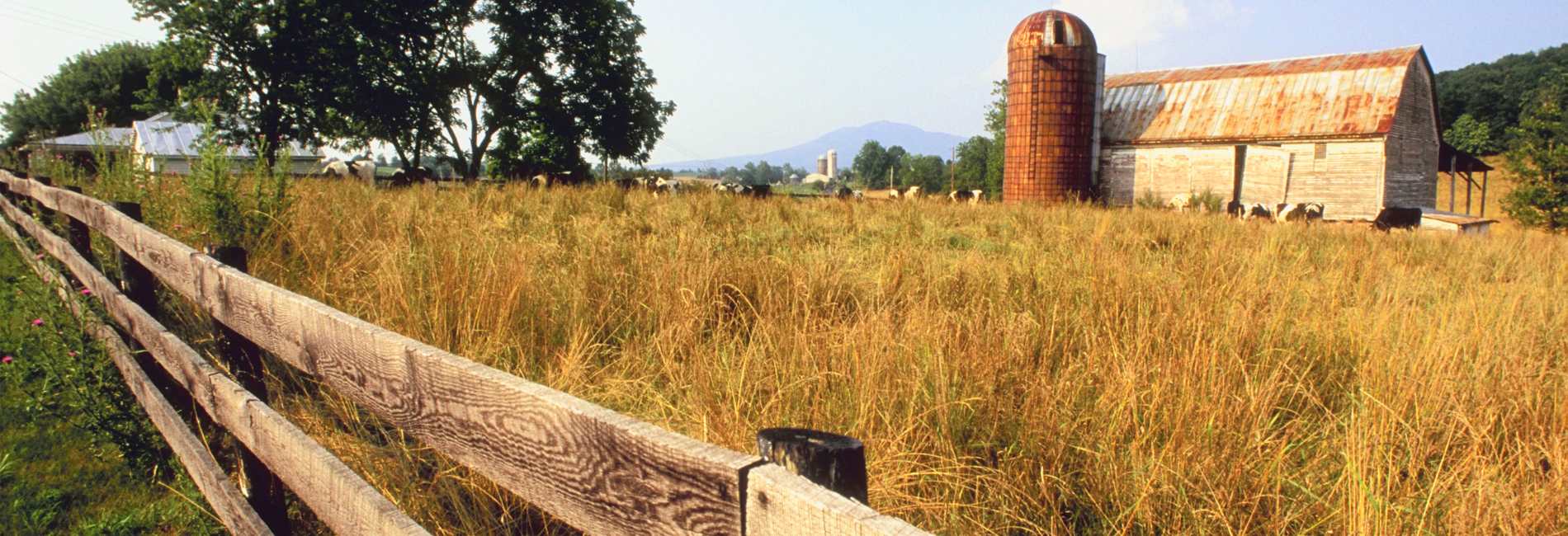 farm Townsend Farmers Exchange
