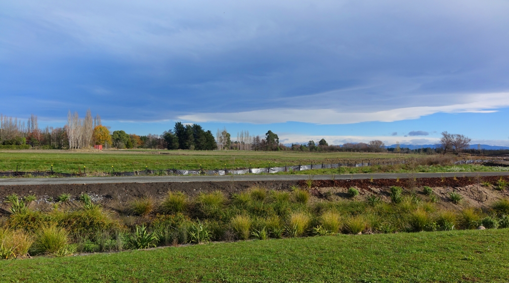 Townsend Road Extension Officially Open & June Update! Sections for