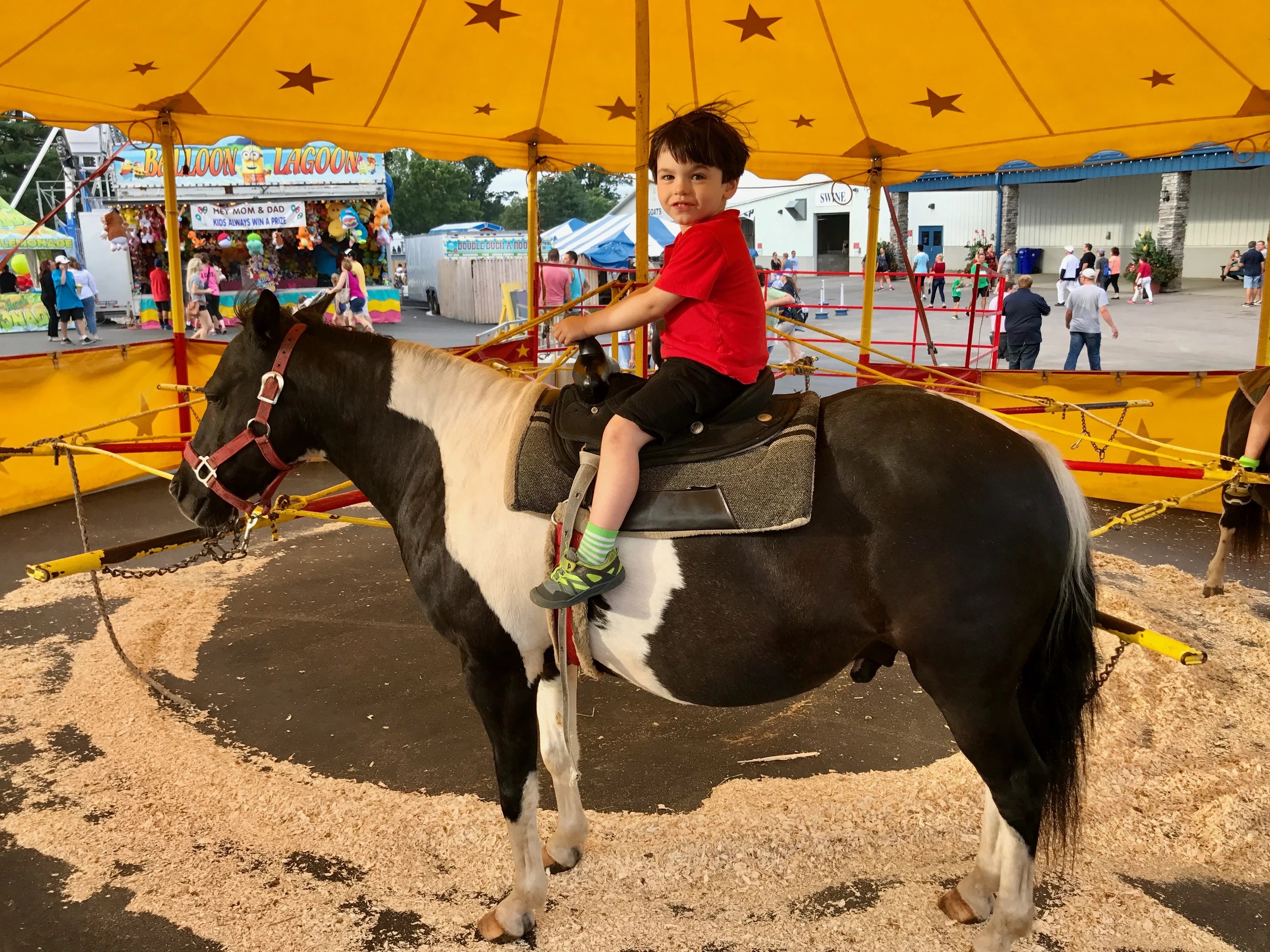 Erie County Fair Horse Show 2023 If This Happens, Erie County Fair Could Go Full Capacity For 2021