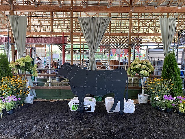 Large Auction This Friday Night In Lockport