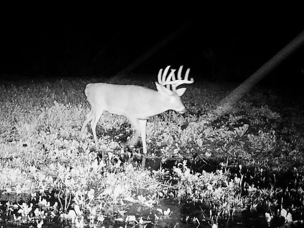 This Western New York Hunting Paradise Is For Sale