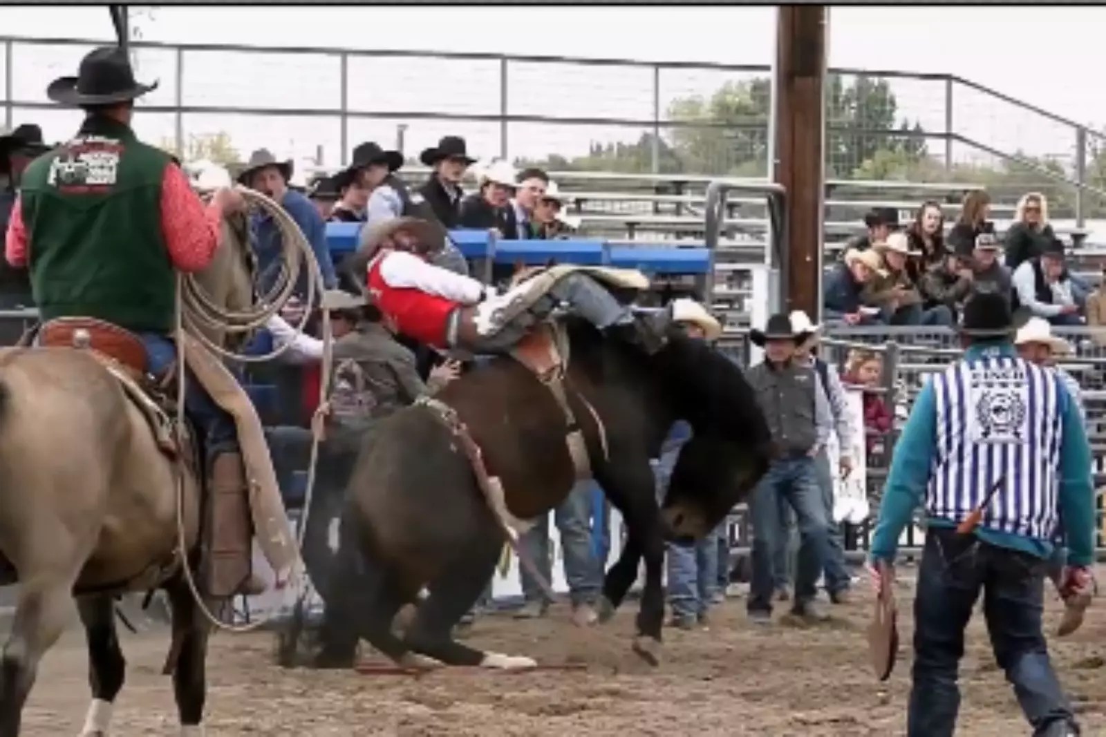 College Rodeo Suspends Spring Season