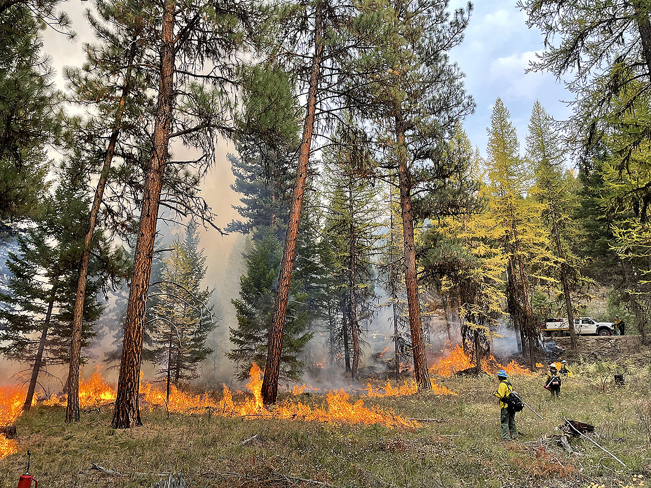 Latest on the Elmo Fire Near Flathead Lake in Montana