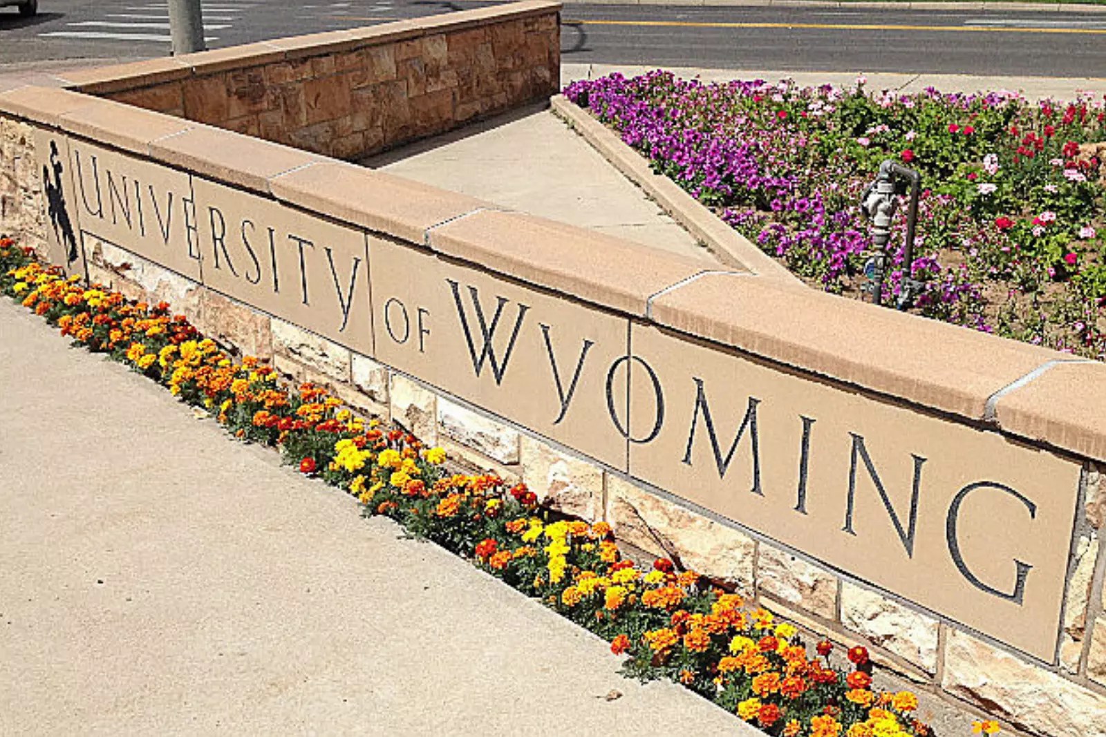 Events at the University of Wyoming