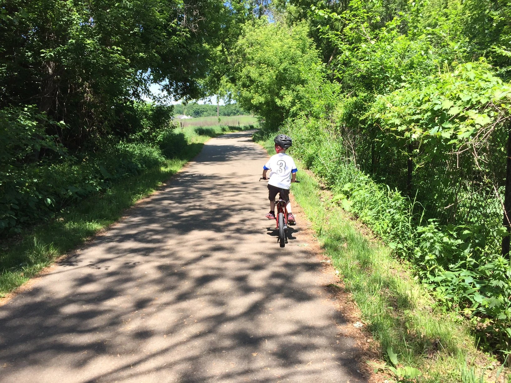 West Michigan's Best Paved Biking Trails to Check out This Summer