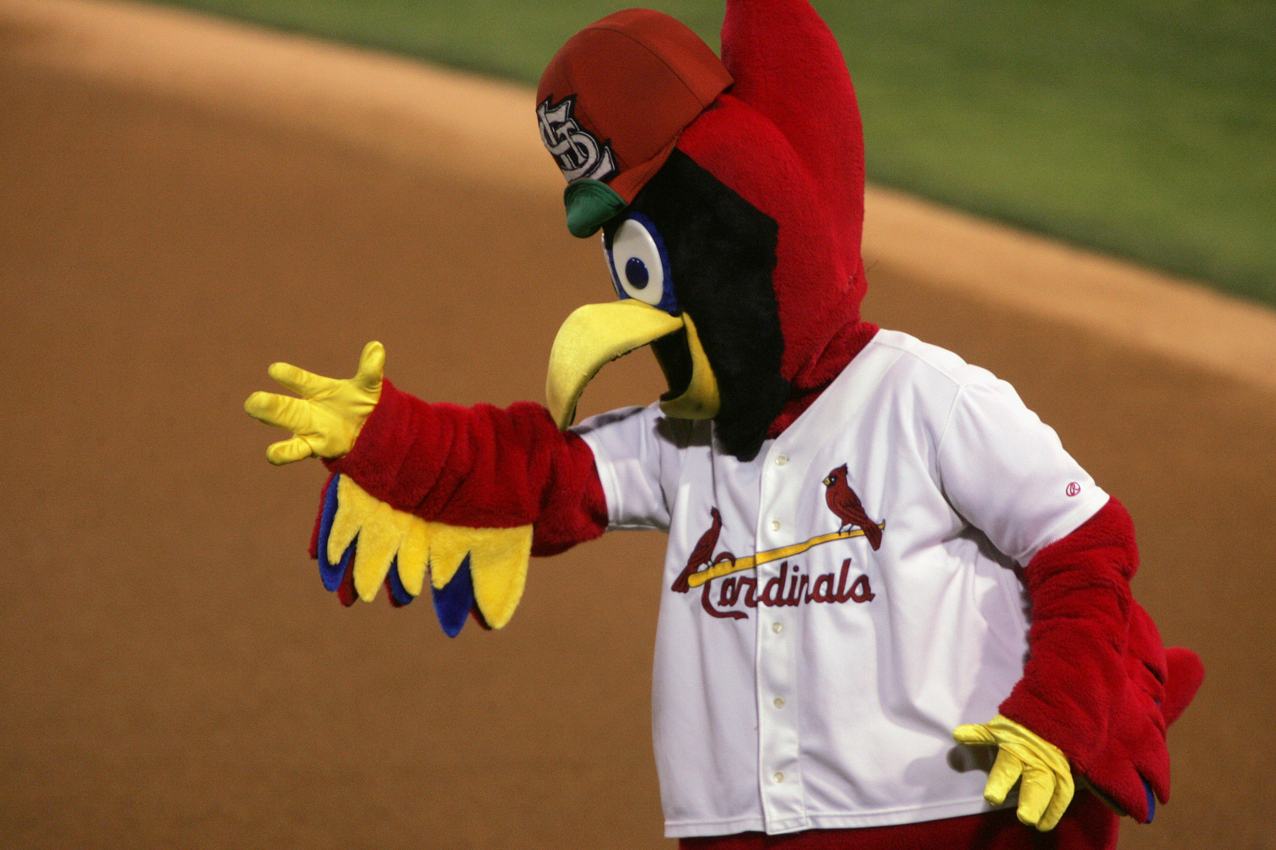 2024 Cardinals Promotional Schedule St. Louis Cardinals Release Freebies For Entire Season
