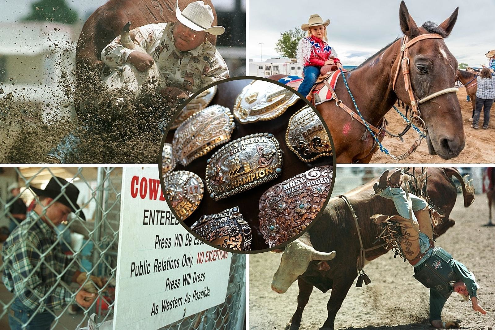 When + How to Attend Colorado's Best Rodeos