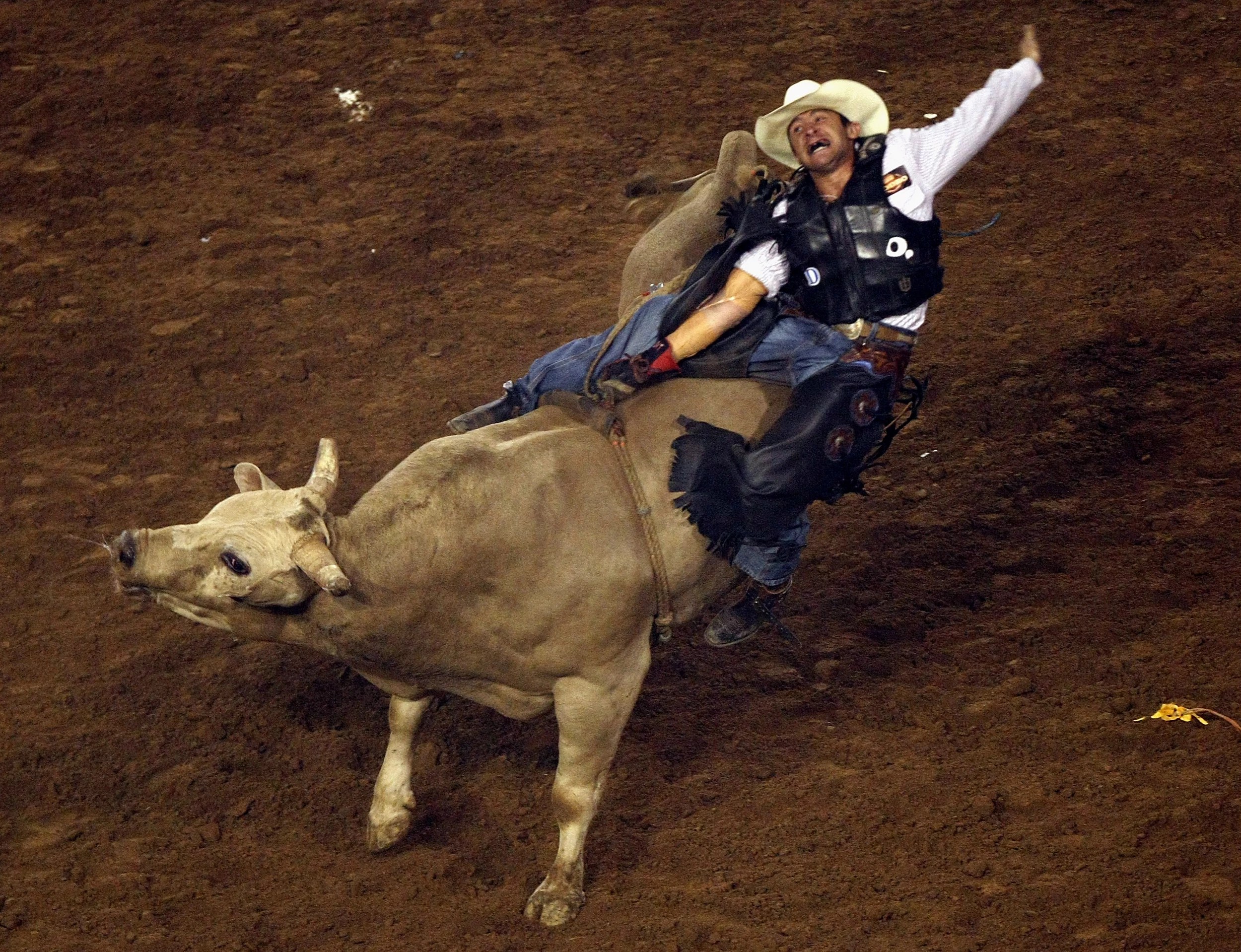 One of the Best Bull Rides You’ll Ever See and Some Epic Fails Too