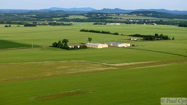 Search Begins for New Mapleton Town Manager