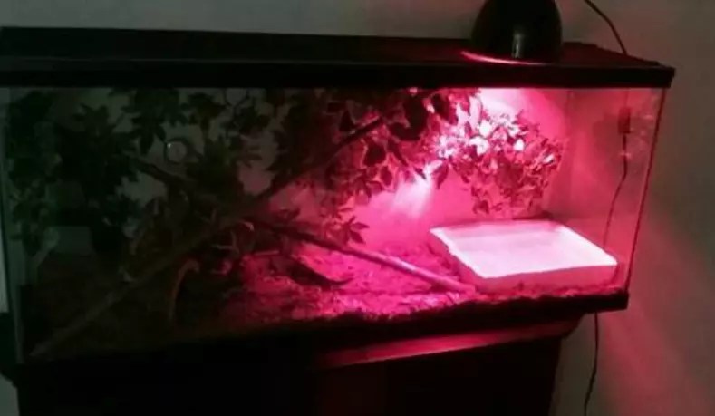 5 Rockford Craigslist Items That You Definitely Don't Need