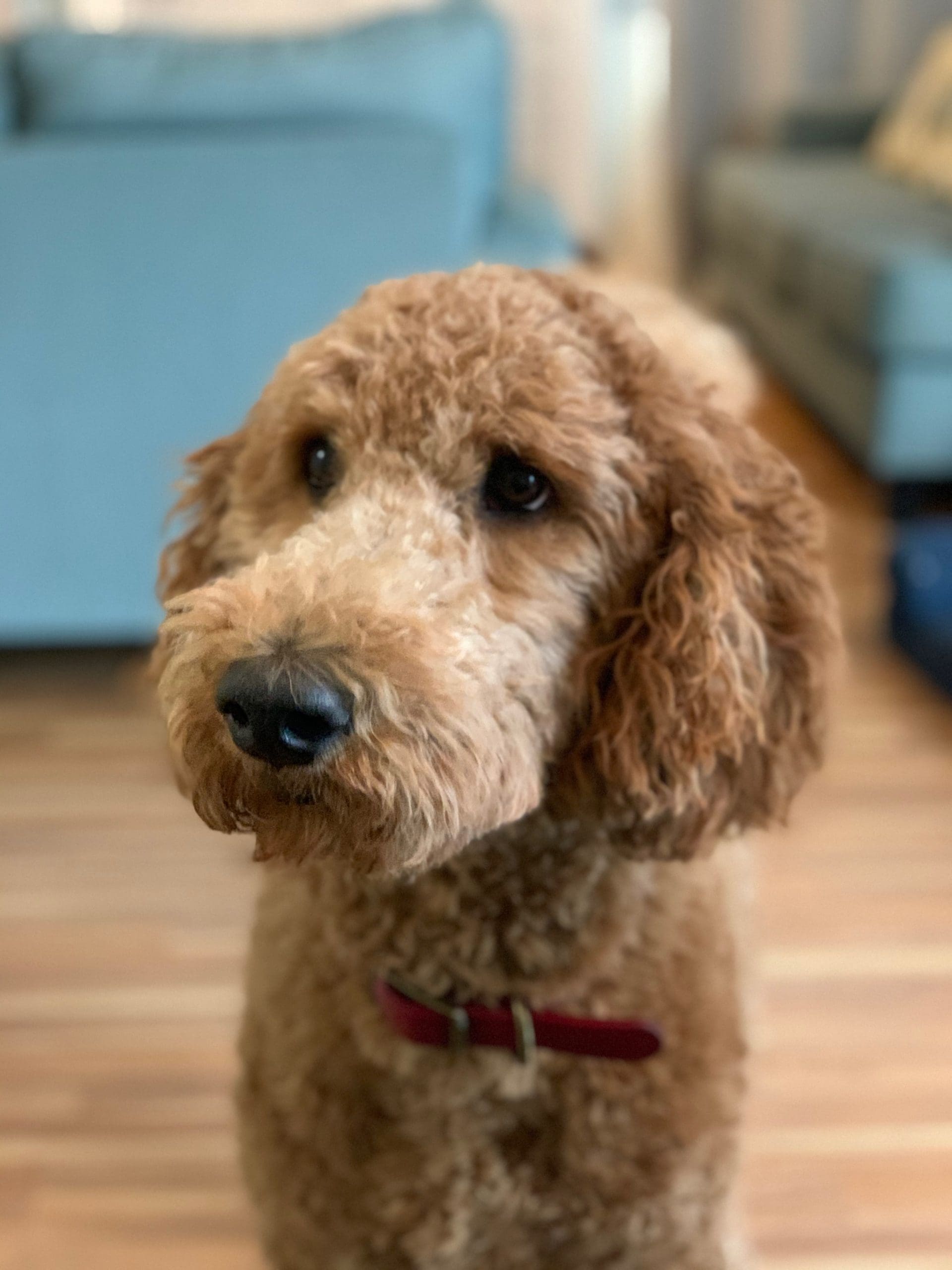 Nativity Prep Principal Believes God Guided Her Into Teaching Town