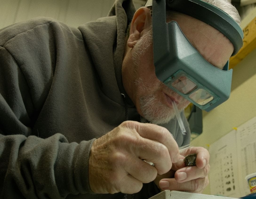Lyme Disease Documentary Highlights Frustration Of Diagnosis